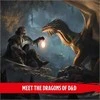 Wizards of the Coast Dungeons &amp; Dragons Dragon Delves Alternate Cover Knyga
