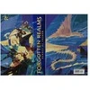 Wizards of the Coast Dungeons &amp; Dragons Forgotten Realms: Heroes of Faerun Alternative Cover Knyga