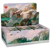 Wizards of the Coast Magic: The Gathering - Modern Horizons 3 Play Booster Ekranas (36 Packs)