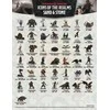 Wizkids D&amp;D Icons of the Realms: Sand &amp; Stone Nudažytos Mystery Figūrėlės (1 vnt.)