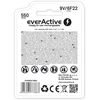 everActive Lithium USB-C įkraunamas 9V 550mAh akumuliatorius