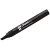 Markeris Sharpie Permanent W10 Juodas – S0192654