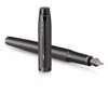 Parker Bronze plunksnakočių rinkinys su dėžute ir krepšiu išleistuvėms