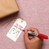 Sharpie Fine Top 27 dalių rinkinys su dažų maišeliu