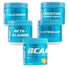 Fen Sport Nutrition Maisto papildų sportui kompleksas - 5 vnt