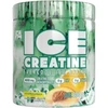 Fitness Authority FA ICE Creatine 300g (Kreatinas)