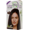 HAIRWONDER Colour & Care plaukų dažai, spalva kaštono 4.56, 100 ml