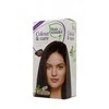 Hair Wonder Hairwonder Colour &amp; Care ilgalaikiai plaukų dažai be amoniako spalva kaštono 4.56