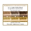 Henna Plus HAIRWONDER Ilgalaikiai plaukų dažai, spalva šviesi aukso blondinė 8.3