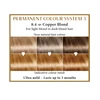 Henna Plus HAIRWONDER Ilgalaikiai plaukų dažai, spalva šviesi blondinė vario atspalvio 8.4