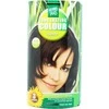 Henna Plus Hairwonder ilgalaikiai plaukų dažai su 9 ekologiškais augaliniais ekstraktais, spalva kaštono 4.56