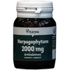 Vitavea Gulsčiojo inkaruočio ekstraktas 2000 mg, 40 augalinės kilmės kapsulių