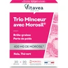 Prancūzija VITAVEA TRIO MINCEUR su MOROSIL® Svorio kontrolei