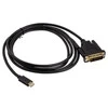 Akasa Type C Adapteris Kabelis prie DVI - juodas