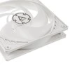 ARCTIC P14 PWM korpuso ventiliatorius, 4-pin, 140mm, baltas