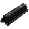 „Crucial T700 M.2 PCI-e 5.0 NVMe 2TB“ radiatorius