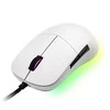 Endgame Gear XM1 RGB žaidimų pelė – baltos spalvos