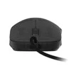Endgame Gear XM2 8k Pelė žaidimams, su laidu – Dark Frost