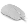 Endgame Gear XM2 8k v2 žaidimų pelė, 8.000Hz – Baltas Frost