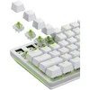 Klaviatūra Glorious Raptor Standard Switch, mechaniniai, 5-Pin, clicky, MX-Stem, 55g – sutepti lubrikantu, 36 vnt