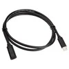 InLine USB 3.2 Gen 2 ilgintuvas, USB Type C, juodas - 1m