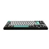 Mechaninė klaviatūra Ducky MIYA Pro Moonlight TKL, PBT, MX Mėlyna, DE išdėstymas