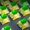 Razer | Mechaninė klaviatūra žaidimams Switches Pack | Žalias Clicky | Klaviatūra Switches | N/A | N/A