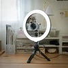 Streamplify Supaprastinkite šviesą 10 srautinio žiedo šviesa