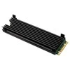 Thermal Grizzly M.2 SSD aušintuvas skirtas PC/PS5