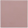 Thermal Grizzly Terminis „Grizzly Minus Pad“ 8 colių, 100 x 100 x 0,5 mm, 2 vnt.