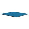Thermal Grizzly Terminiai „Grizzly“ antgaliai „Grizzly Minus Pad Advance“ – 100 x 100 x 1,0 mm, 2 vnt.