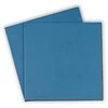 Thermal Grizzly Minus Pad Advance – 100 x 100 x 1,0 mm, 2 vnt