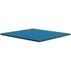 Thermal Grizzly Terminiai „Grizzly“ antgaliai „Grizzly Minus Pad Basic“ – 100 x 100 x 2,0 mm, 2 vnt.