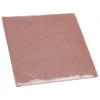 Thermal Grizzly Minus Pad Extreme – 100 × 100 × 0.5 mm
