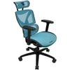 ThunderX3 XTC ergonominė ofiso kėdė – juodos spalvos/mėlynos spalvos