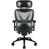 ThunderX3 XTC ergonominė ofiso kėdė – juodos spalvos/mėlynos spalvos