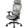 ThunderX3 XTC Ergonomic Office Chair, Mesh – Pilkas