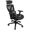 ThunderX3 XTC ergonominė ofiso kėdė, Mesh – juodos spalvos