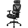 ThunderX3 XTC ergonominė ofiso kėdė, Mesh – juodos spalvos