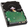 SanDisk WD Gold 6TB SATA 6Gb/s 3.5inch 256MB cache 7200rpm internal RoHS compliant Enterprise HDD Bulk