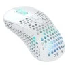 Pelės Xtrfy M4 Bevielis (M4W- RGB- Baltas)