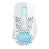 Pelės Xtrfy M4 Bevielis (M4W- RGB- Baltas)