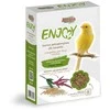 Alegia Enjoy kanarėlėms 450g