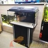 Aquael Aqua4Family (112L) Day&amp;Night