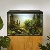 Aquael Leddy 60 XL (72L) Day&amp;Night