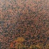 Dajana Mini tropical pellets 1kg