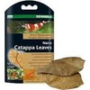 Dennerle Nano Catappa lapai, 12vnt