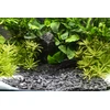 Dennerle Kongo 3-8mm, 5kg