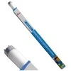 Diversa T8 30W Mėlyna