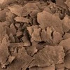 Fluval Bug Bites dribsniai Tropinėms žuvims 45g